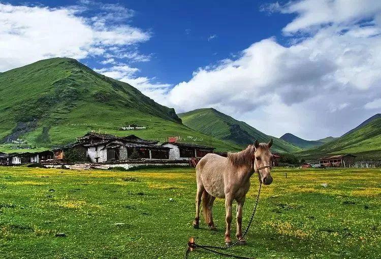 逃出古风住宅