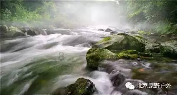 “老债王”格罗斯:美联储应停止QT并尽快降息